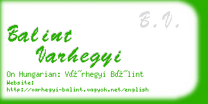 balint varhegyi business card